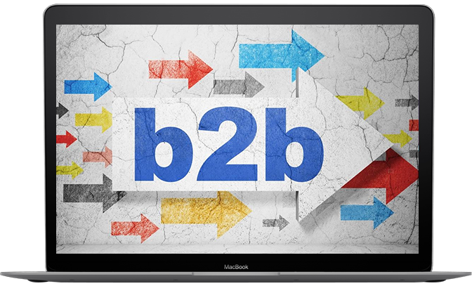 EXPERIENCE IN B2B WEB DEVELOPMENT