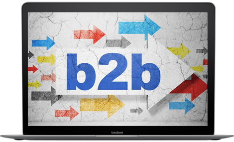 EXPERIENCE IN B2B WEB DEVELOPMENT